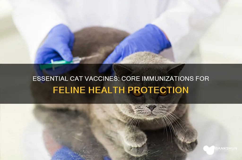what are the core vaccines for cats