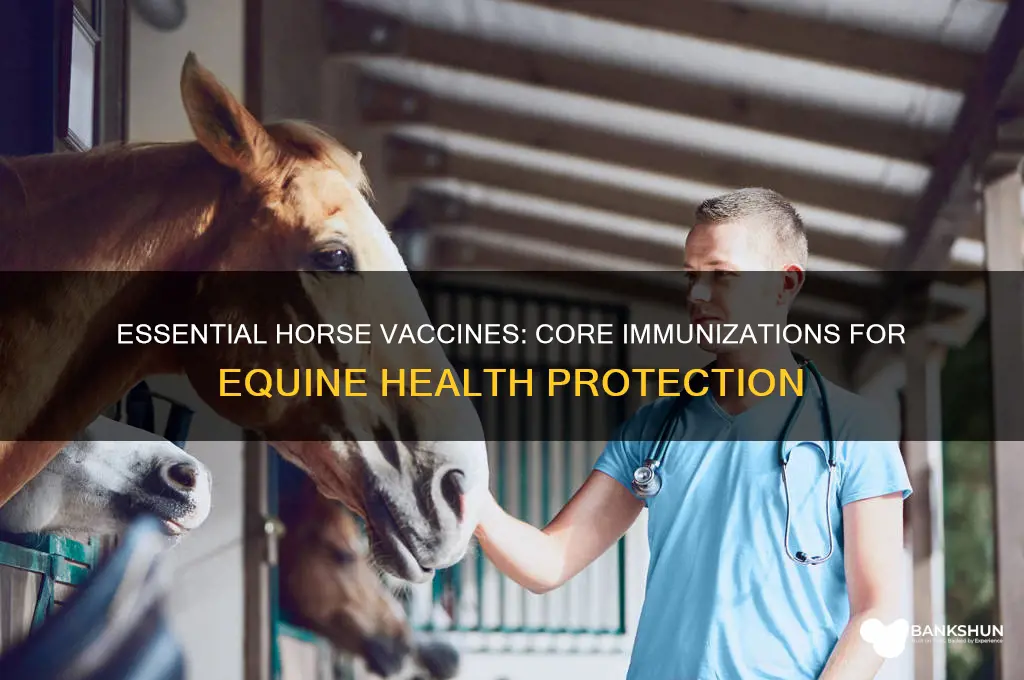 what are the core vaccines for horses