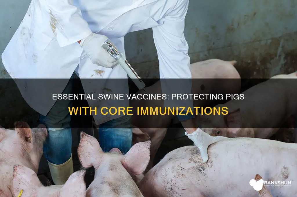 what are the core vaccines for swine
