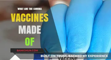 Understanding COVID-19 Vaccines: Ingredients, Composition, and Safety Explained