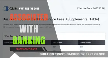 Understanding the Hidden and Overt Costs of Banking Services