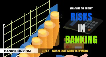 Understanding Credit Risks in Banking: Key Challenges and Mitigation Strategies