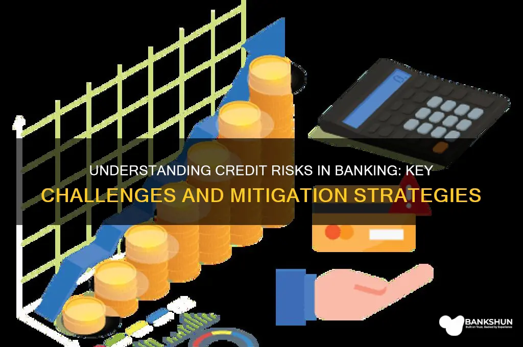 what are the creidit risks in banking