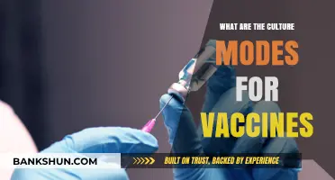 Exploring Cultural Modes Shaping Vaccine Acceptance and Hesitancy Globally