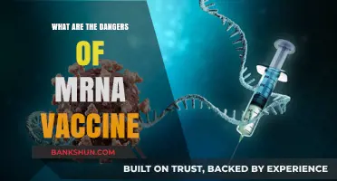 Unveiling Potential Risks: Understanding mRNA Vaccine Safety Concerns