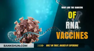 RNA Vaccines: Uncovering Potential Risks and Safety Concerns