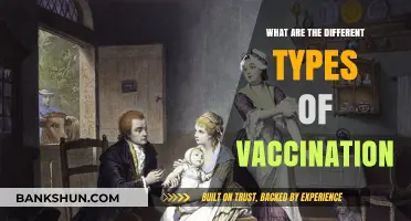 Exploring Various Vaccination Types: A Comprehensive Guide to Immunization