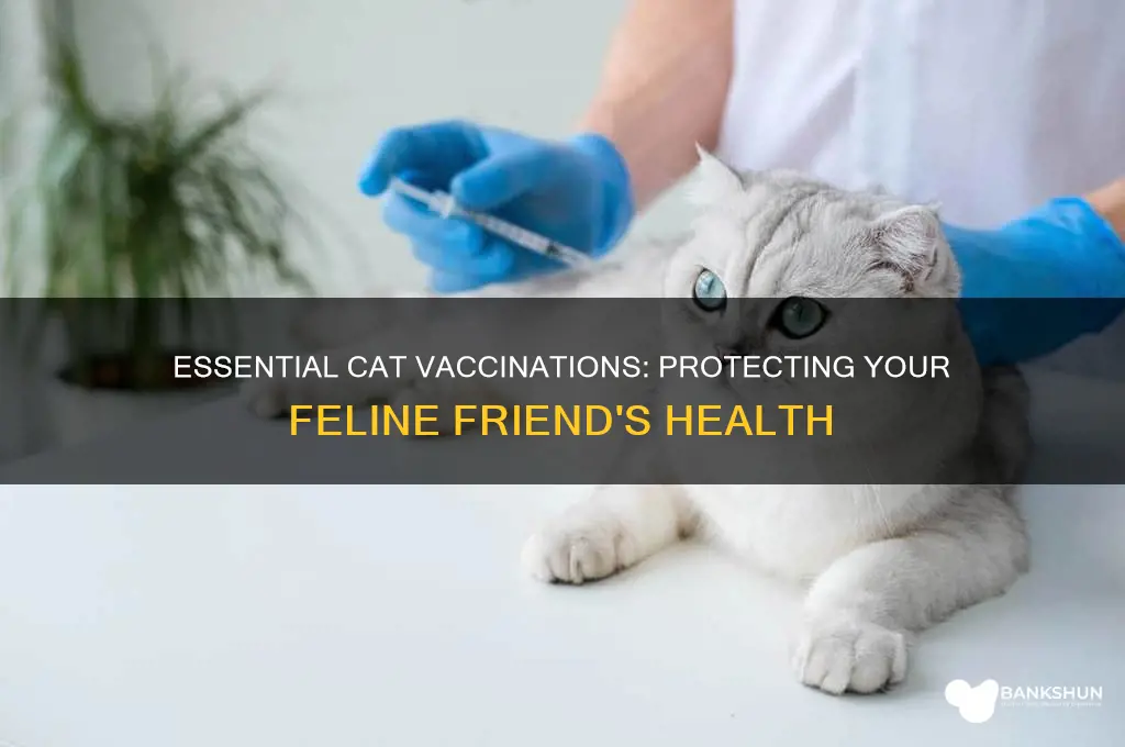 what are the different vaccinations for cats
