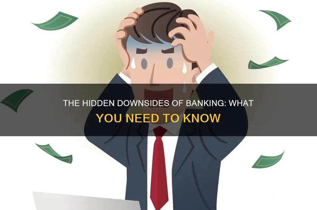 what are the disadvantages of a bank