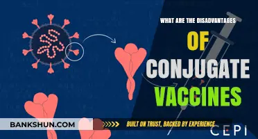 Conjugate Vaccines: Potential Drawbacks and Limitations Explained