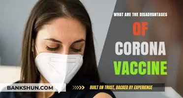 Exploring Potential Drawbacks of COVID-19 Vaccines: Risks and Concerns