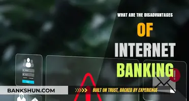 The Hidden Risks of Internet Banking: Security, Fraud, and Privacy Concerns