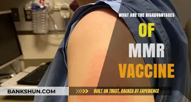 Exploring Potential Risks and Concerns of the MMR Vaccine