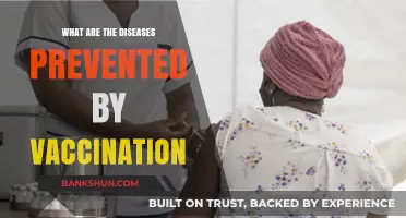 Vaccines Save Lives: Diseases Prevented by Immunization Explained