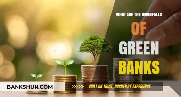 Green Banks' Hidden Pitfalls: Challenges and Limitations in Sustainable Finance