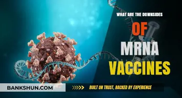 Exploring Potential Risks and Concerns of mRNA Vaccines: What to Know