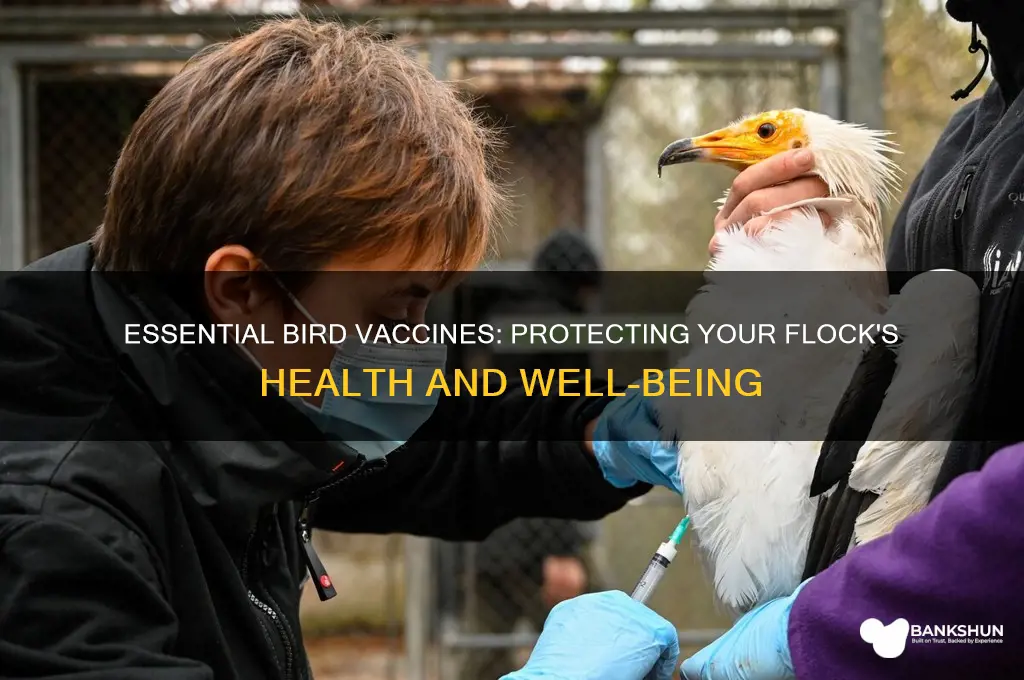 what are the essential vaccines in bird