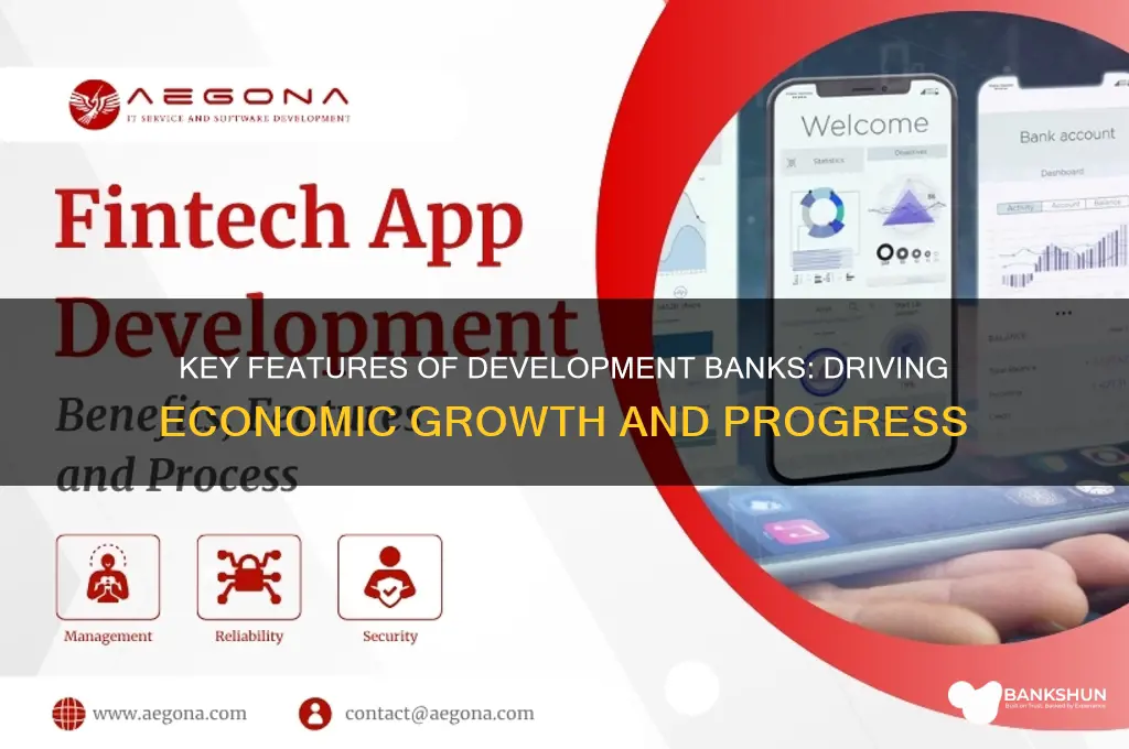 what are the features of development bank