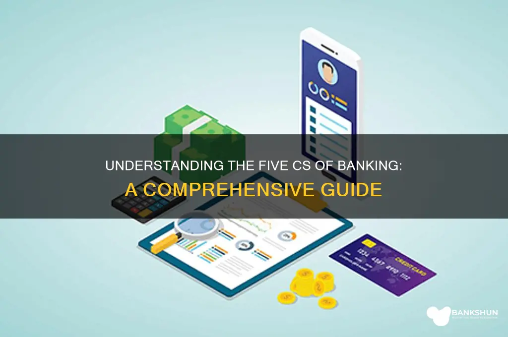 what are the five cs of banking