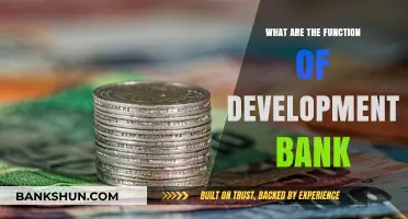 Key Roles and Functions of Development Banks in Economic Growth