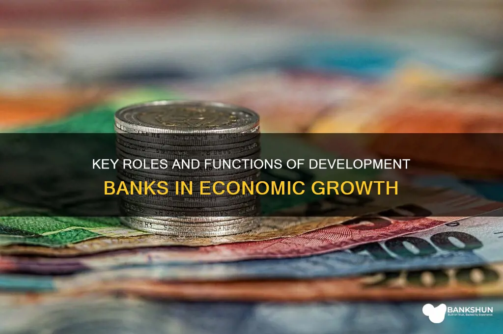 what are the function of development bank