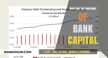 Understanding Bank Capital: Key Functions and Importance in Finance