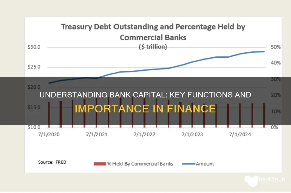 what are the functions of bank capital