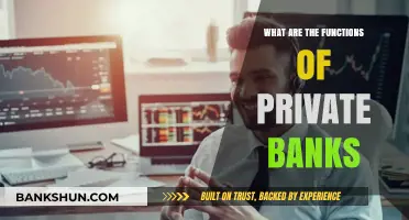 Exploring the Key Functions and Roles of Private Banks
