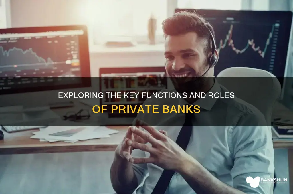 what are the functions of private banks