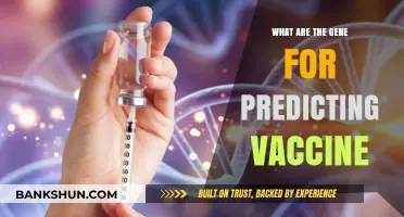 Genetic Markers: Unlocking Vaccine Efficacy and Personalized Immunization Strategies
