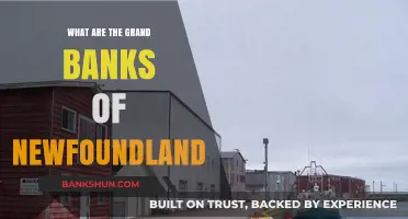 Exploring Newfoundland's Grand Banks: A Deep Dive into History & Ecology