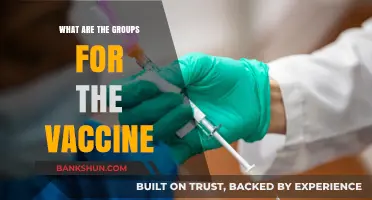 Understanding COVID-19 Vaccine Groups: Who Gets Vaccinated When?