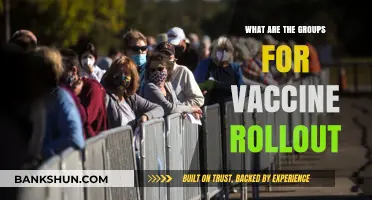 Understanding Vaccine Rollout Groups: Prioritization and Distribution Strategies Explained