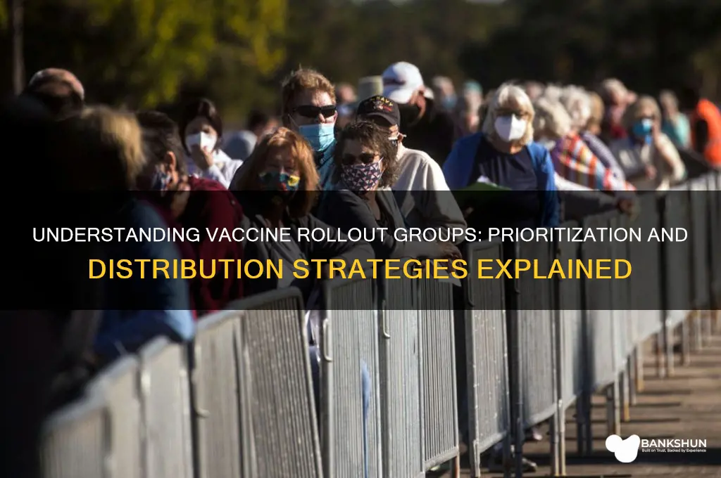 what are the groups for vaccine rollout