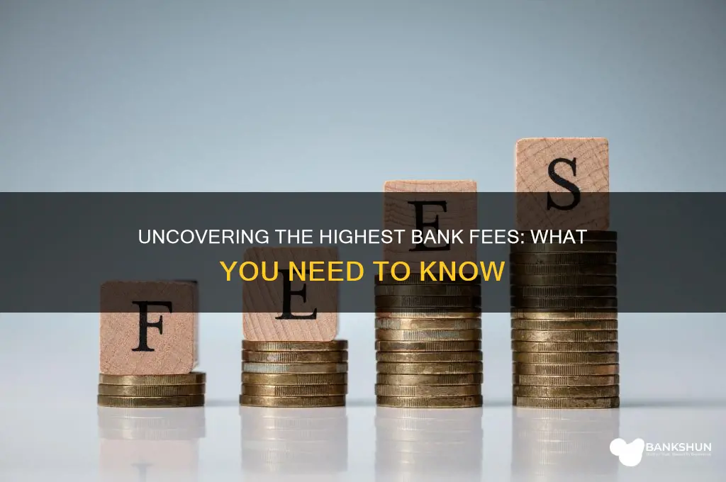 what are the highest fees for banks