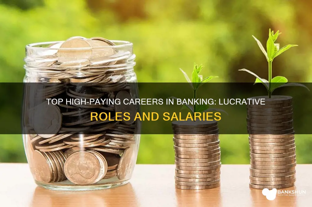 what are the highest paying bank jobs