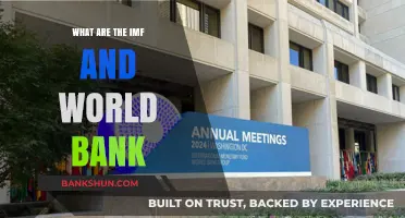 Understanding the IMF and World Bank: Roles, Impact, and Global Influence