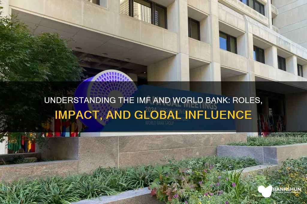 what are the imf and world bank