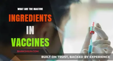 Understanding Inactive Ingredients in Vaccines: Purpose, Safety, and Common Components