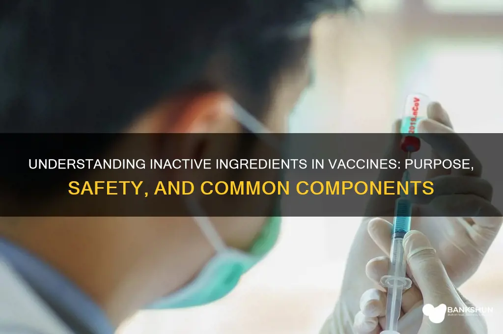 what are the inactive ingredients in vaccines
