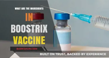 Boostrix Vaccine Ingredients: A Detailed Breakdown of Its Components