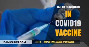 Unveiling the Key Ingredients in COVID-19 Vaccines: A Comprehensive Guide