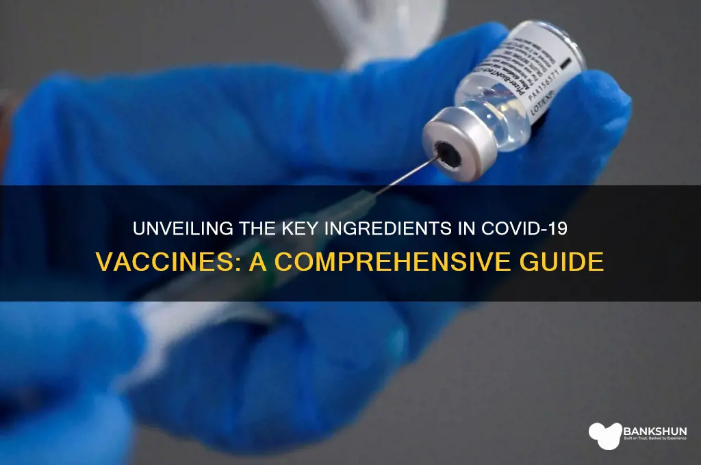 what are the ingredients in covid19 vaccine