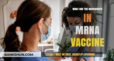 Understanding mRNA Vaccines: Key Ingredients and Their Roles Explained