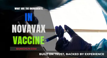 Understanding Novavax: Key Ingredients in the COVID-19 Vaccine Explained