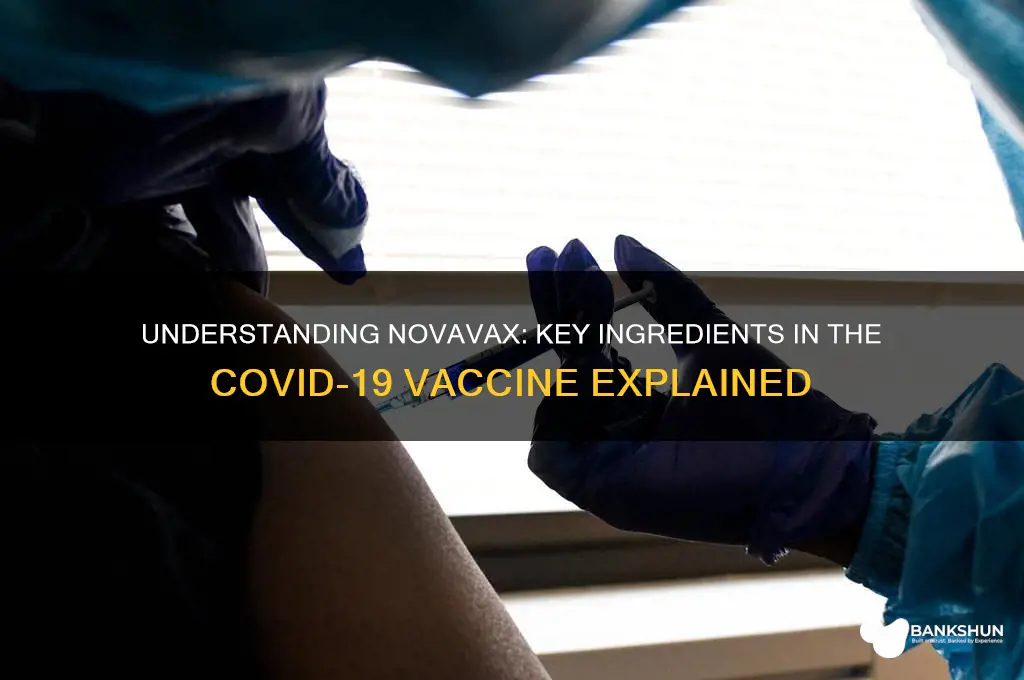 what are the ingredients in novavax vaccine