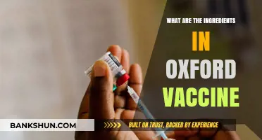 Oxford Vaccine Ingredients: A Detailed Breakdown of Its Composition