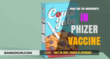 Pfizer Vaccine Ingredients: Understanding the Components and Their Roles