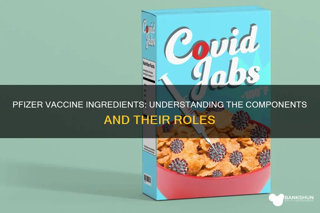 what are the ingredients in phizer vaccine