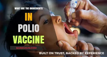 Understanding Polio Vaccine: Key Ingredients and Their Role in Prevention